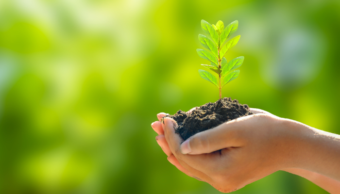 The Best Ways to Celebrate Earth Day (April 22nd) – Fun, Impactful Activities for All