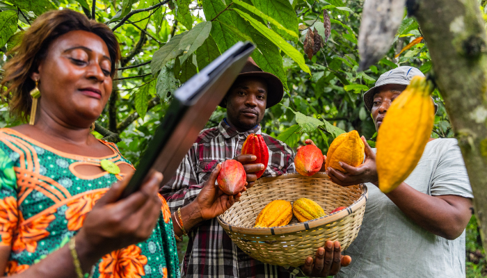 The Environmental Impact of Easter Chocolate & How to Choose Better